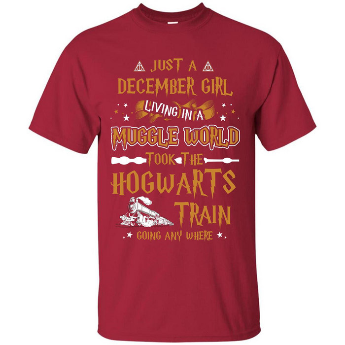 Harry-Potter-T-shirt-Just-A-December-Girl-Living-In-A-Muggle-World-1