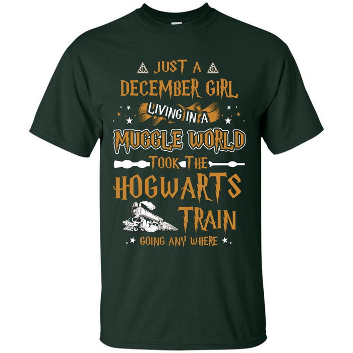Harry-Potter-T-shirt-Just-A-December-Girl-Living-In-A-Muggle-World-2