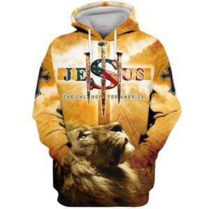 Jesus The Only Hop For Amarica 3D Hoodie